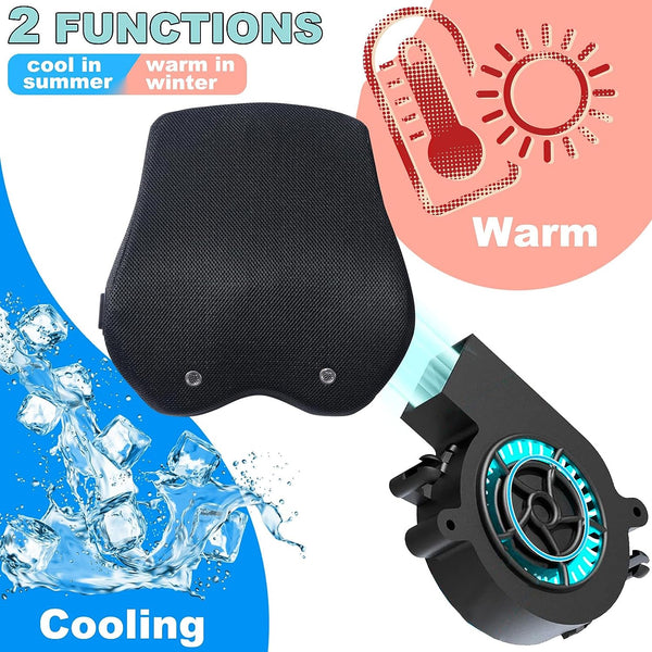 Big Ant Lumbar Support Pillow for Car, 2 Functions Car Back Support for Lower Back Pain with 5V Voltage