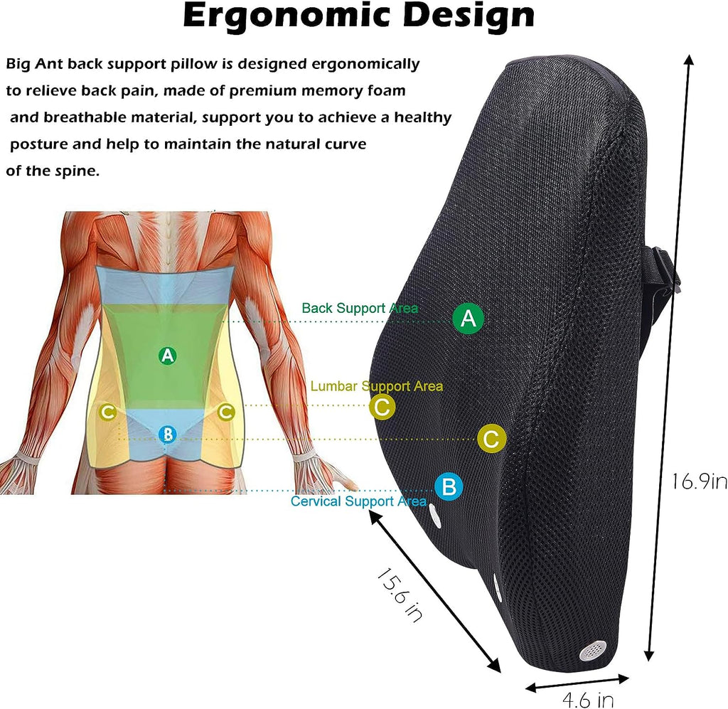 Lumbar Support, Big Ant Car Back Support with Massage Beads Ergonomic  Designed for Comfort and Lower Back Pain Relief - Car Seat Lumbar Support  for Driver, Office Chair, Wheelchair, Home