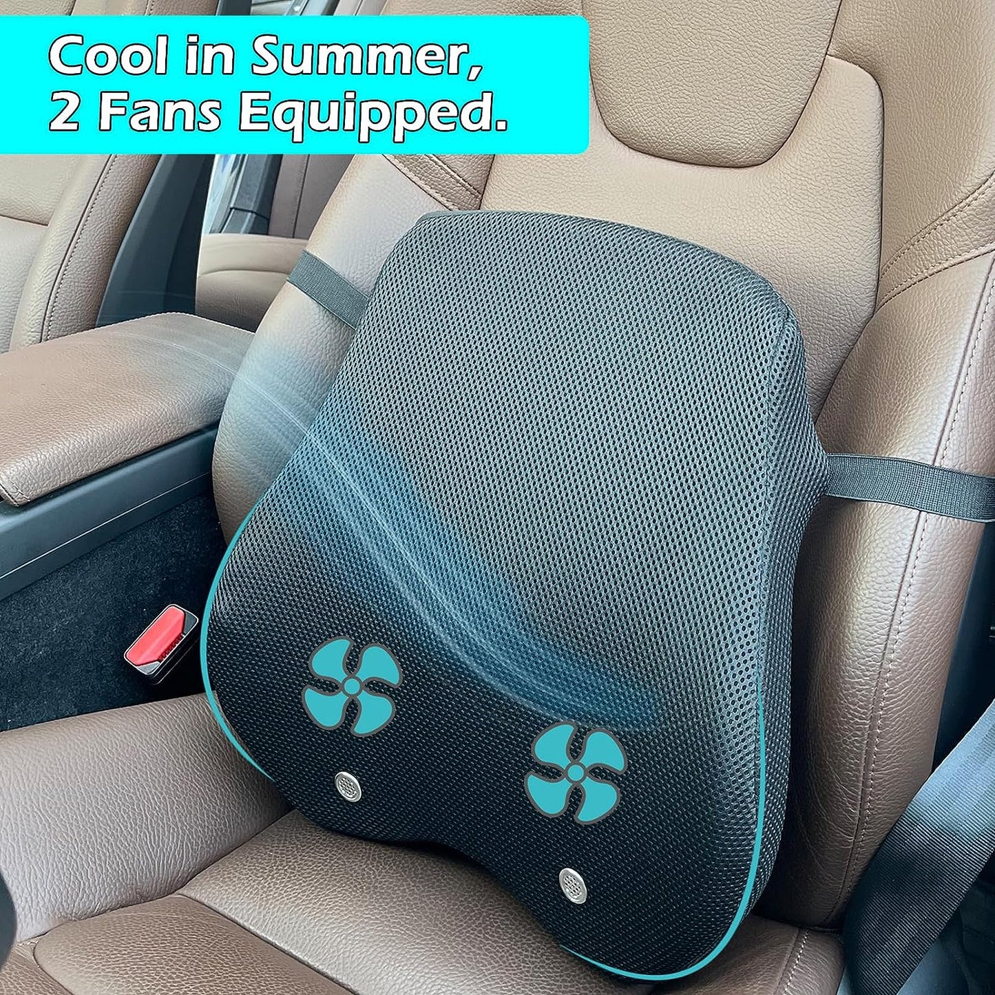 Big Ant Lumbar Support Pillow for Car, 2 Functions Car Back Support for Lower Back Pain with 5V Voltage