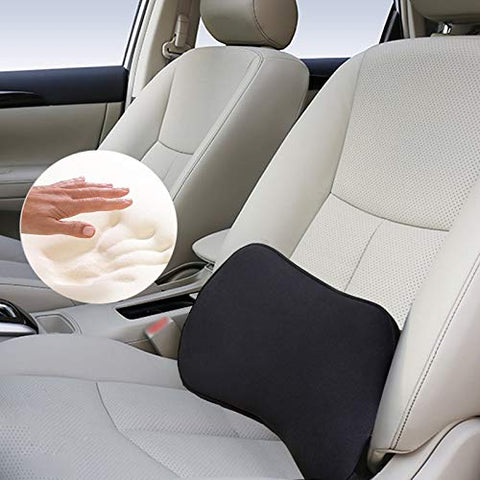 Big Ant Lumbar Support, Car Mesh Back Support with Massage Beads