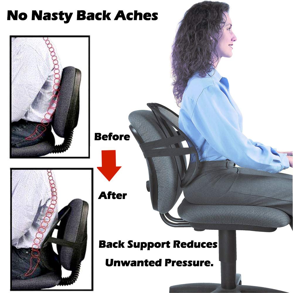 Lumbar Support, Big Ant Car Back Support with Massage Beads Ergonomic  Designed for Comfort and Lower