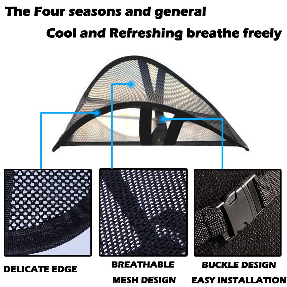 Big Ant Lumbar Support, Car Mesh Back Support with Massage Beads
